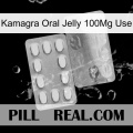 Kamagra Oral Jelly 100Mg Use new13